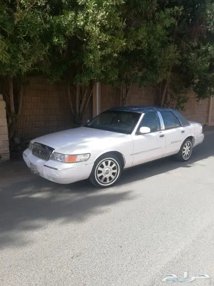 مبيوع الله يبارك له 4