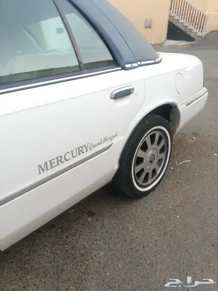 مبيوع الله يبارك له 49