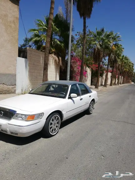 مبيوع الله يبارك له 51