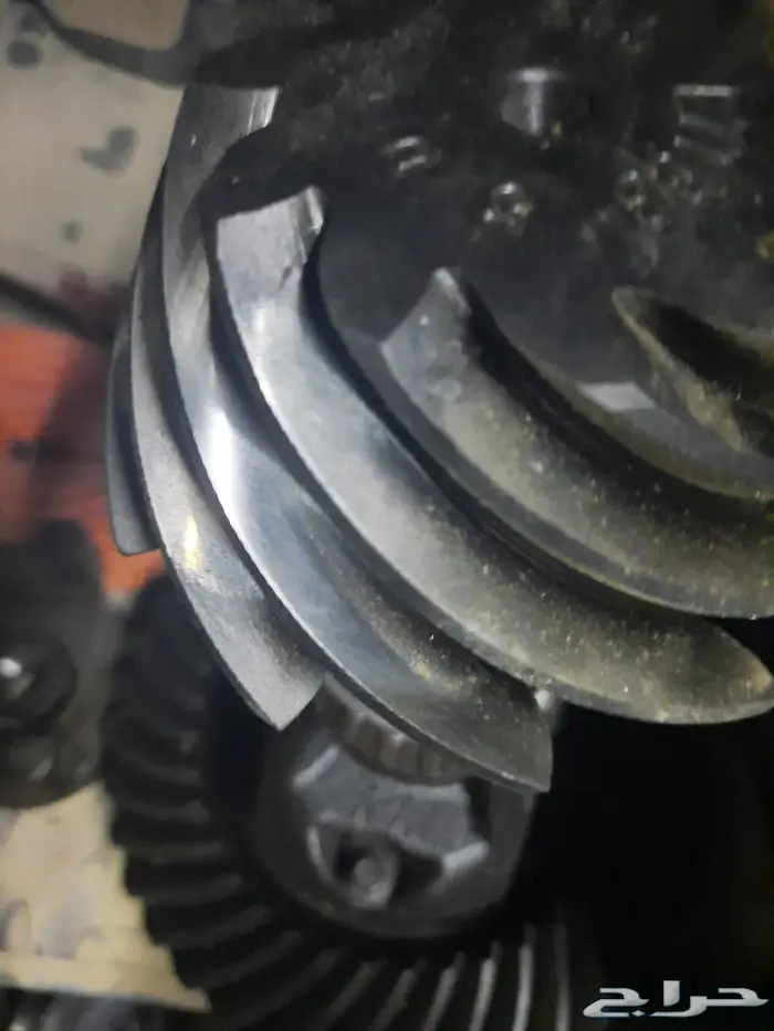 كرونة فورد بوليسي مارودار 2