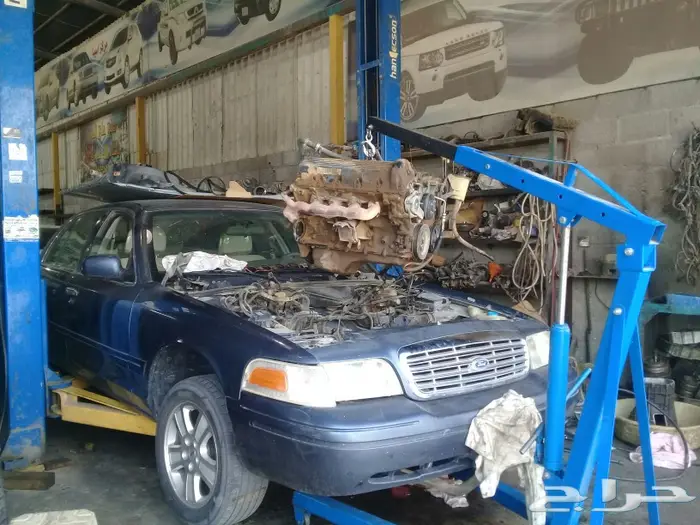 مختصون جمس دينالي وفورد 0