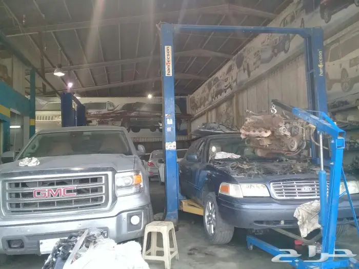 مختصون جمس دينالي وفورد 1