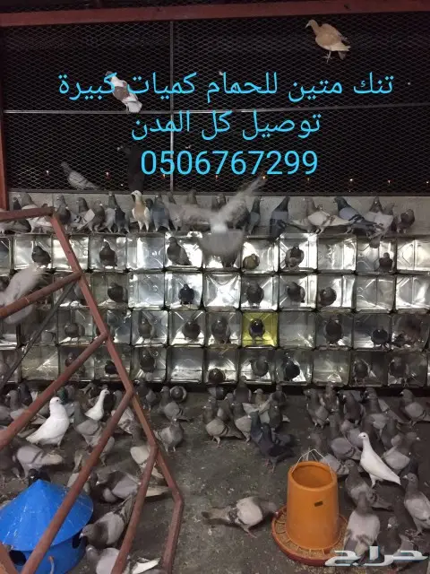 سطول تنك حمام كميات خرافية توصيل كل المدن 1