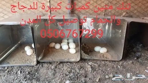 سطول تنك حمام كميات خرافية توصيل كل المدن 8