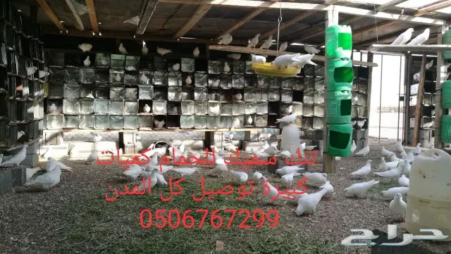 سطول تنك حمام كميات خرافية توصيل كل المدن 5