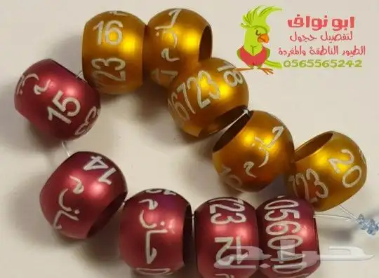 ابو نواف لتفصيل حجول الطيور الناطقة والمغرده 3