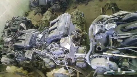 أخصائي فورداكسبلور 1