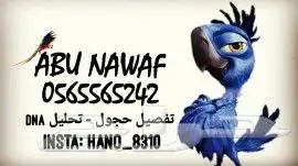 تفصيل حجل اساور للطيور والحمام والدواجن 12