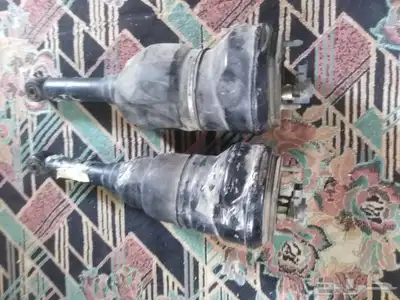 جنبينات لكزس 0