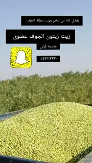 عسل بلدي و ومستورد بجميع أنواعه زيت الجوف 50