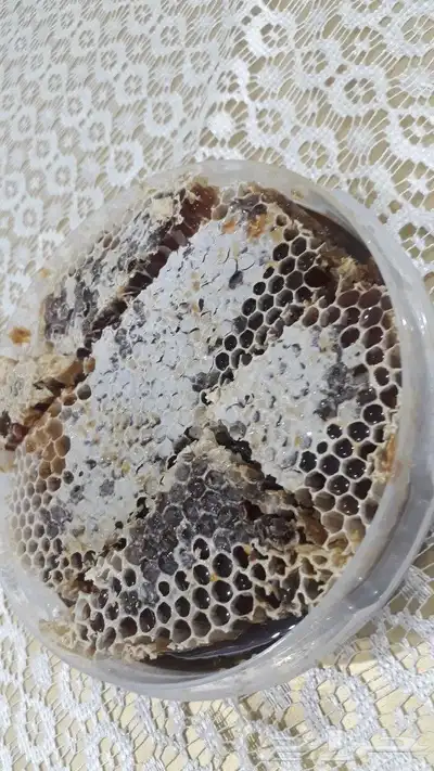 عسل بلدي و ومستورد بجميع أنواعه زيت الجوف 11
