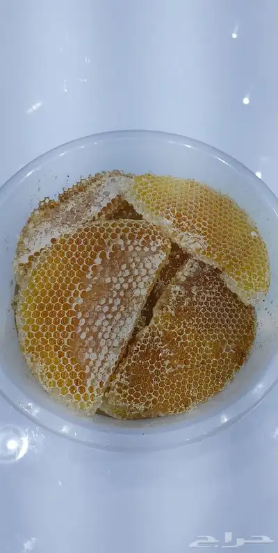 عسل بلدي و ومستورد بجميع أنواعه زيت الجوف 13