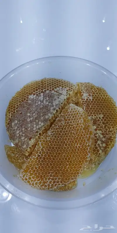 عسل بلدي و ومستورد بجميع أنواعه زيت الجوف 15