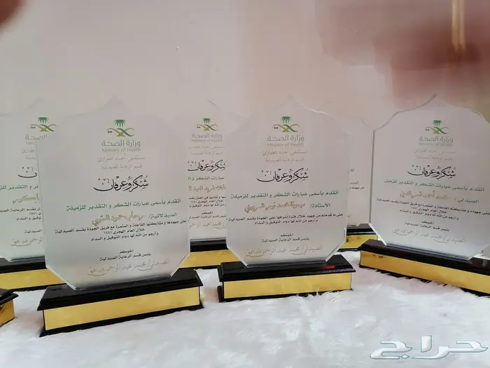 دروع و أوسمة 6