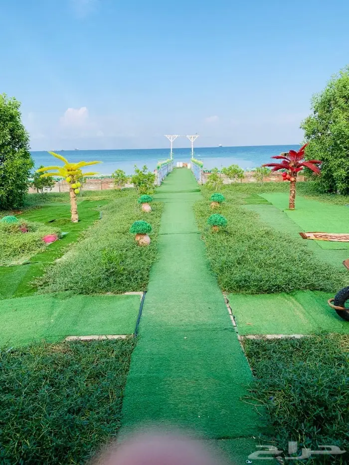 قارب رحلات بحريه بجازان (صيد-نزهه-غوص) 11