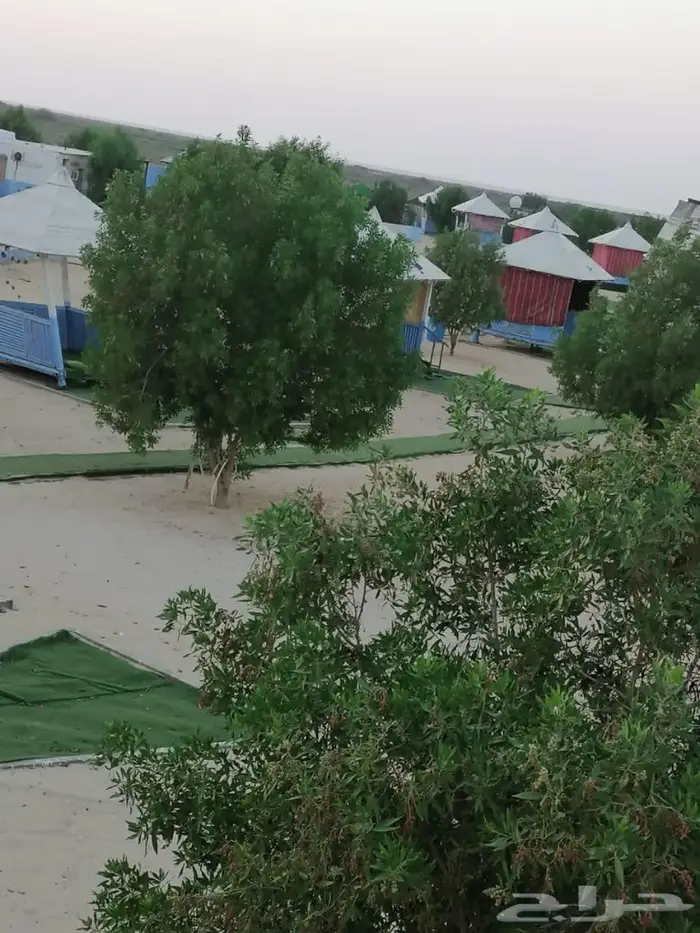 قارب رحلات بحريه بجازان (صيد-نزهه-غوص) 12