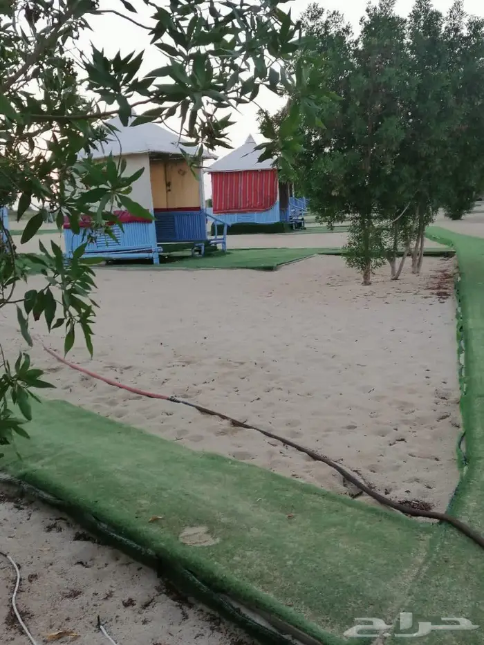 قارب رحلات بحريه بجازان (صيد-نزهه-غوص) 16