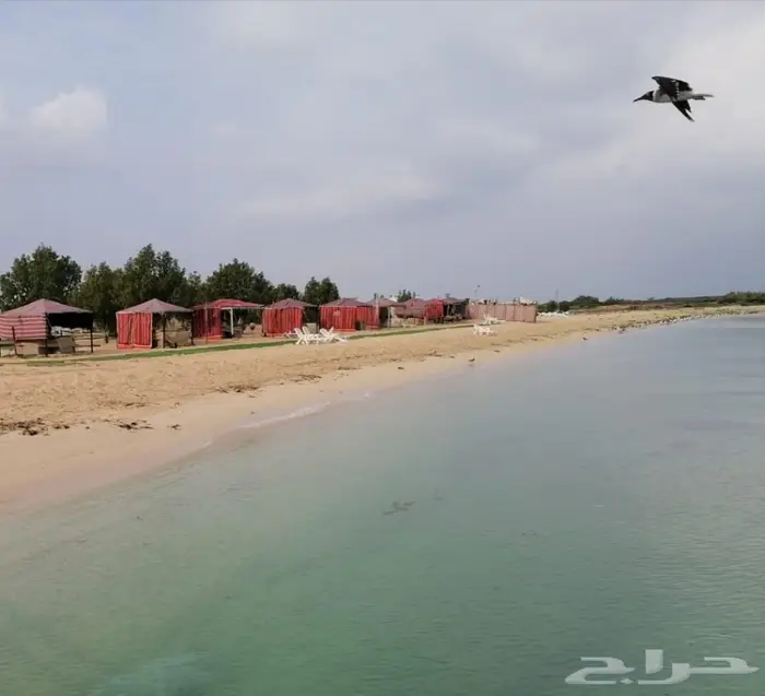 قارب رحلات بحريه بجازان (صيد-نزهه-غوص) 15