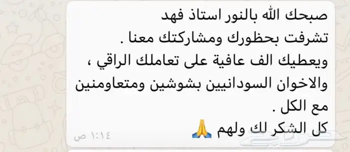 حصان للإيجار 9