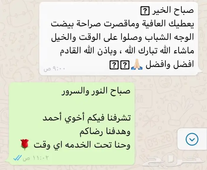 حصان للإيجار 8