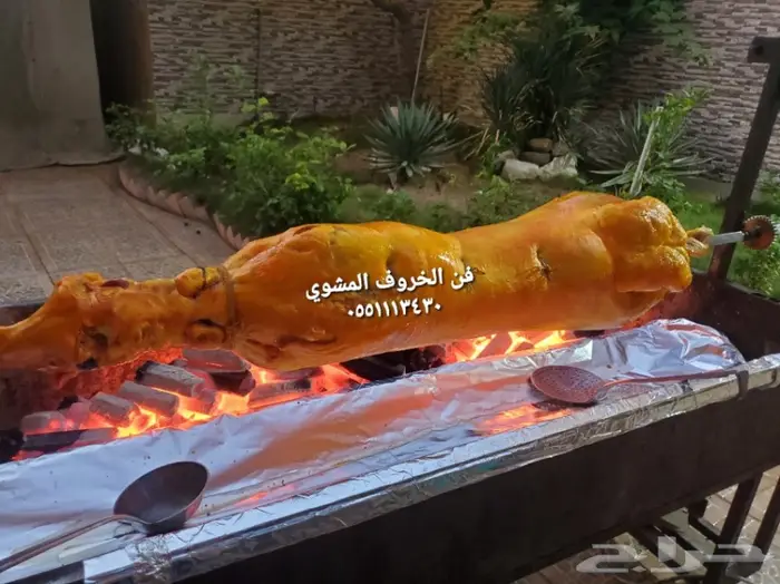 مطابخ فن الخروف المشوي  5