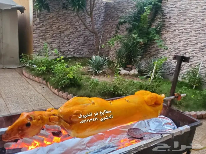 مطابخ فن الخروف المشوي  6