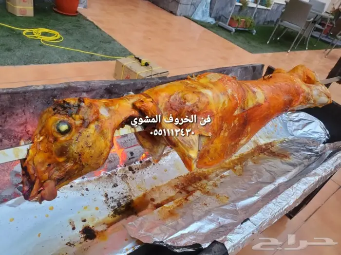 مطابخ فن الخروف المشوي  10