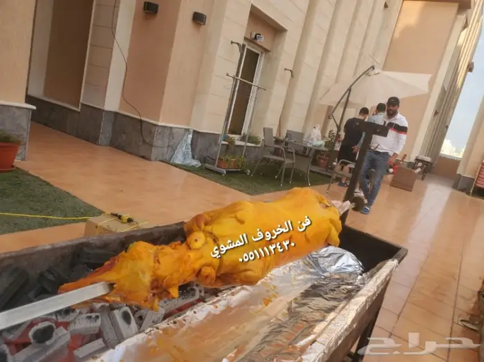 مطابخ فن الخروف المشوي  11