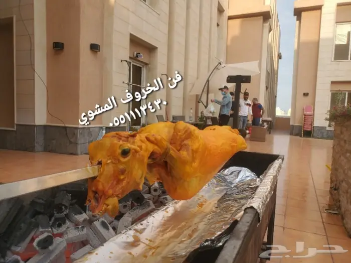 مطابخ فن الخروف المشوي  12