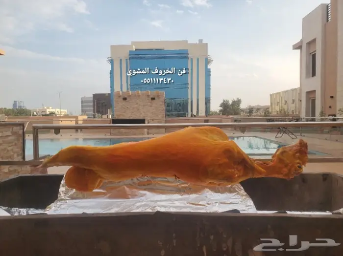 مطابخ فن الخروف المشوي  14