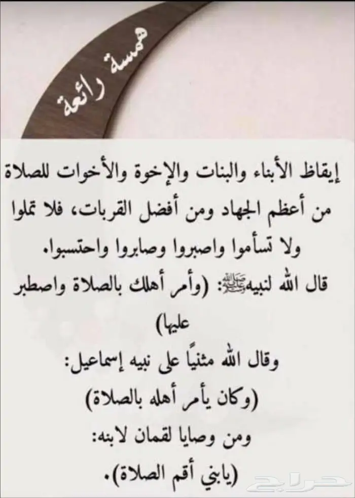 سدر باكستان سدر بشاوري 9