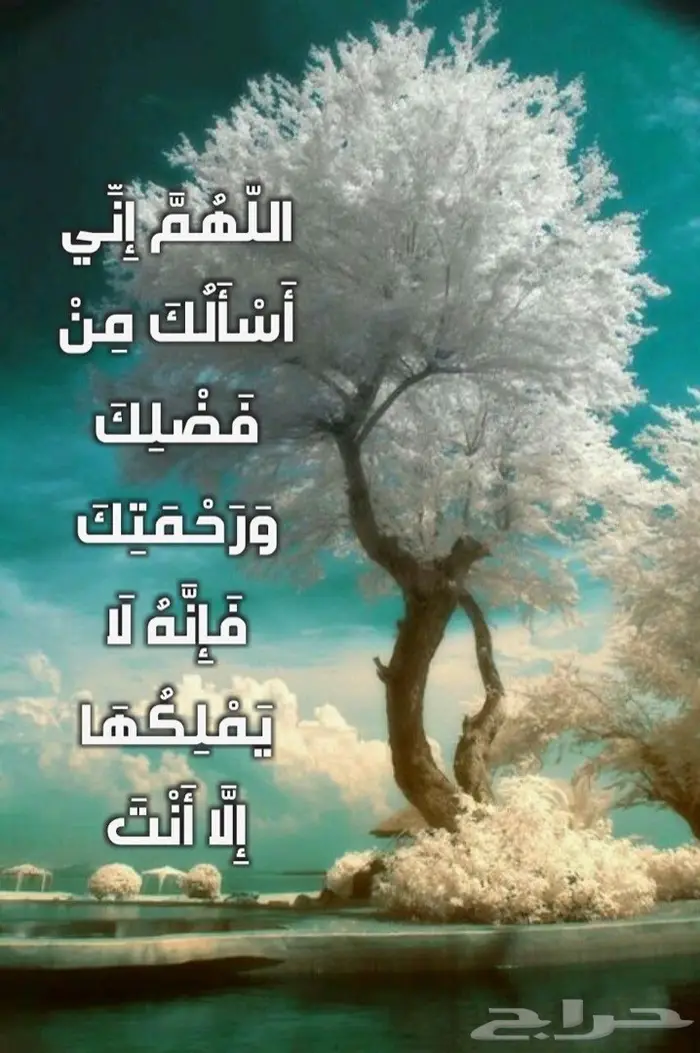 رويال ليمو VIP CARS ل جميع مناسبات افراح تخرج 50