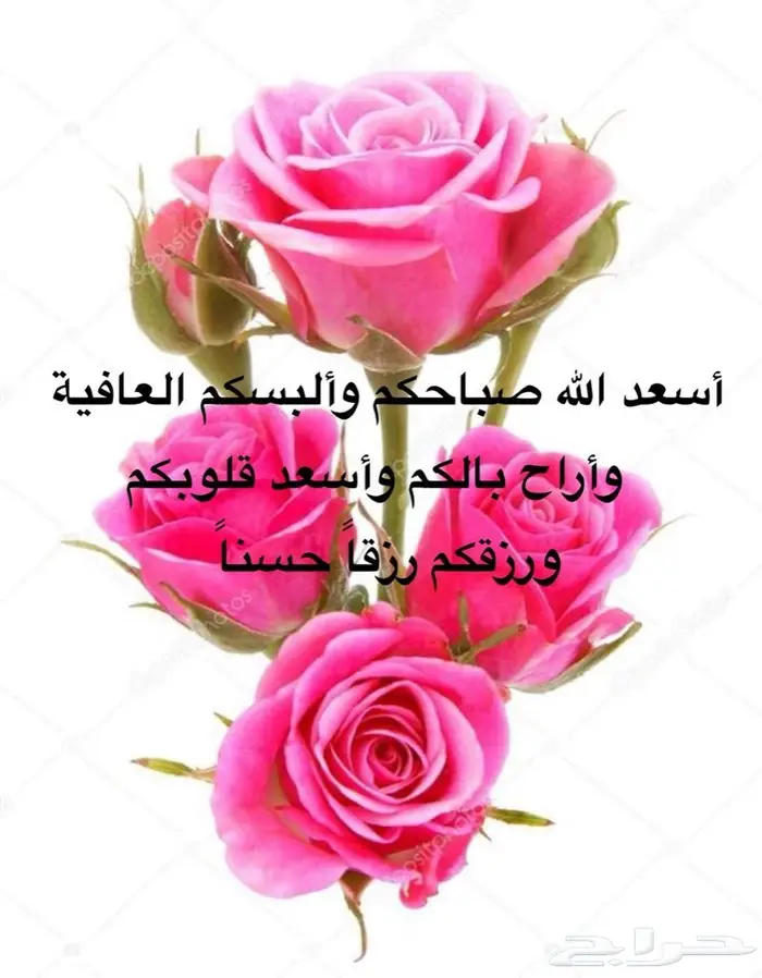 مستعمل خاتمين فضة اصلي 4