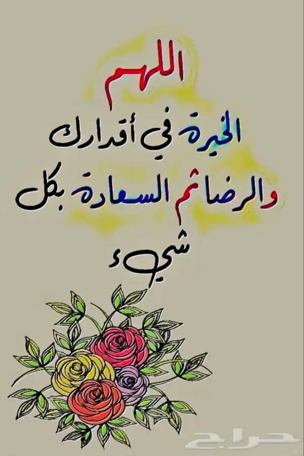 فحص وكشف سيارات. جده - مكه - الطايف-ثول -رابغ 2