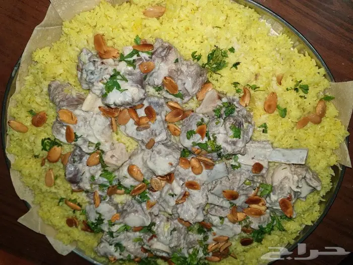 ودك بأكل بيت وصلت 14