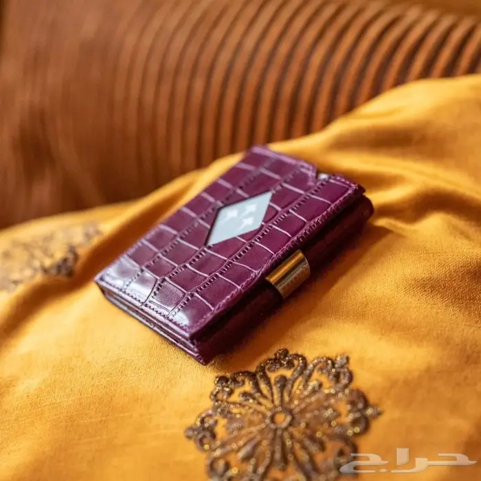محفظة اكسنتري المتعددة Exentri 10