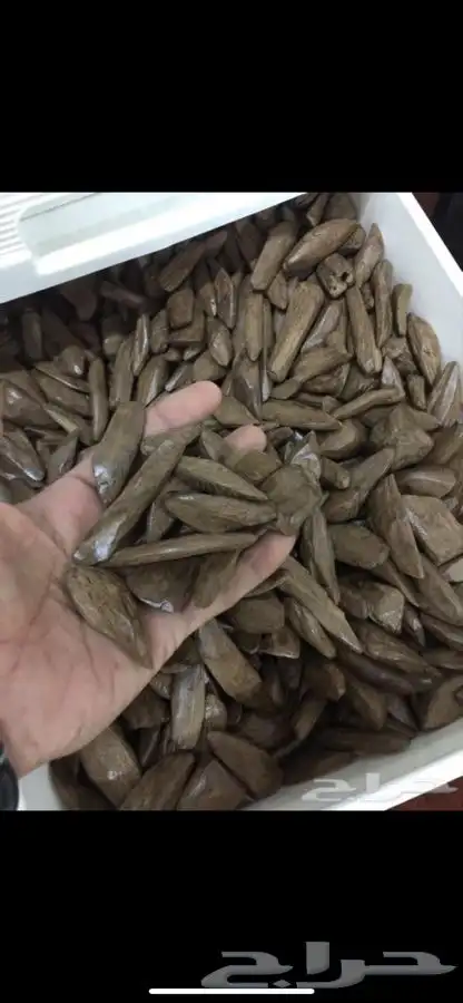 عود بخور فاخر ربع الكيلو ب 350 بدلا من 550ريال بدأ العرض 2