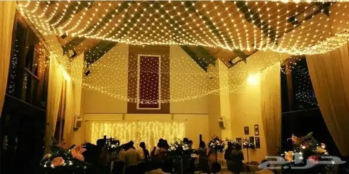 شبكة مضيئة وستارة وحبل LED 7