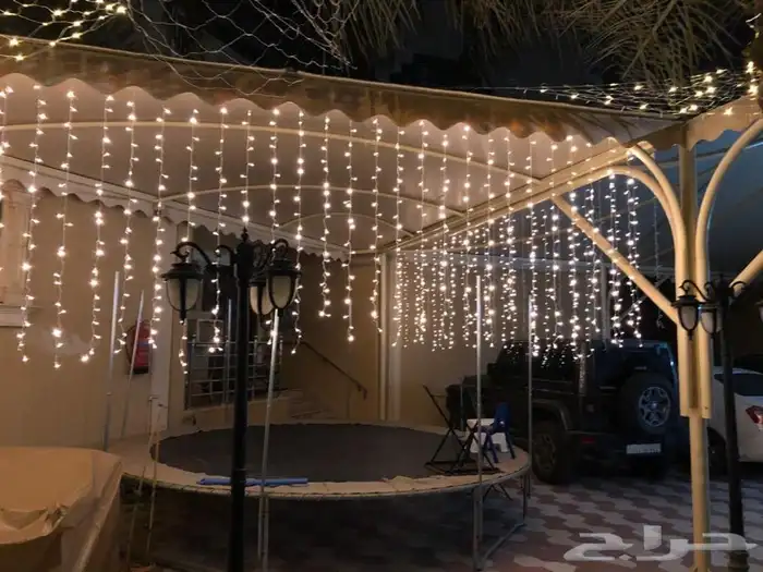 شبكة مضيئة وستارة وحبل LED 31