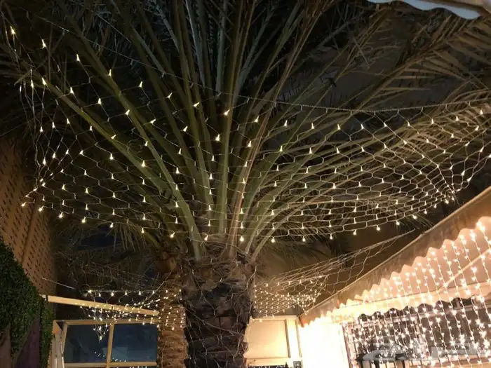 شبكة مضيئة وستارة وحبل LED 14