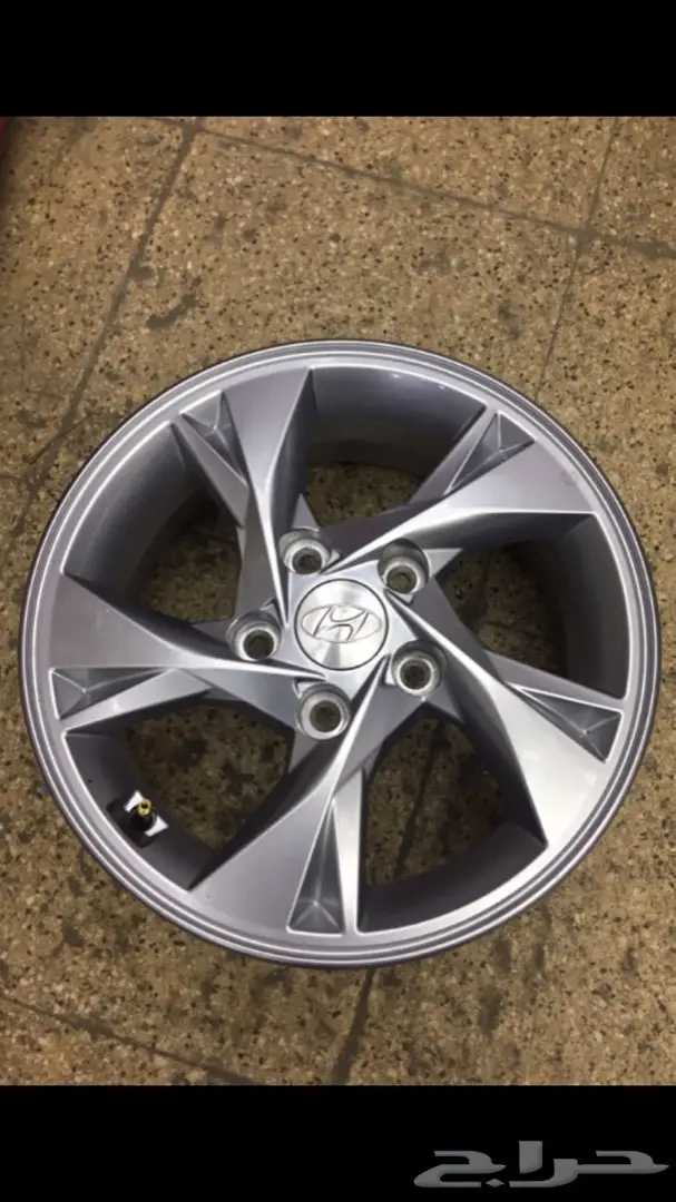 جنوط-النترا-2021 0