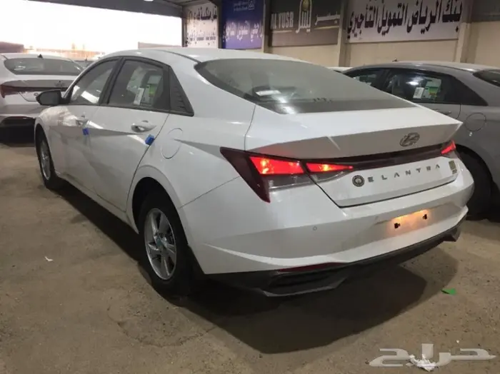 جنوط-النترا-2021 3