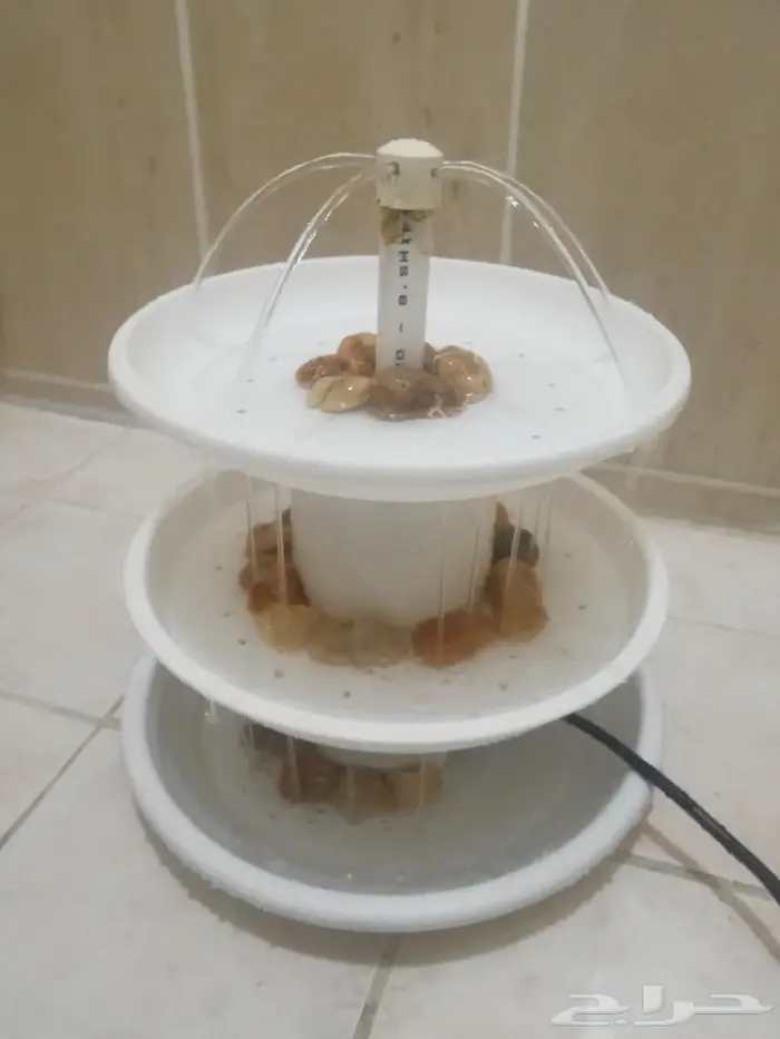 مروش للعصافير 3