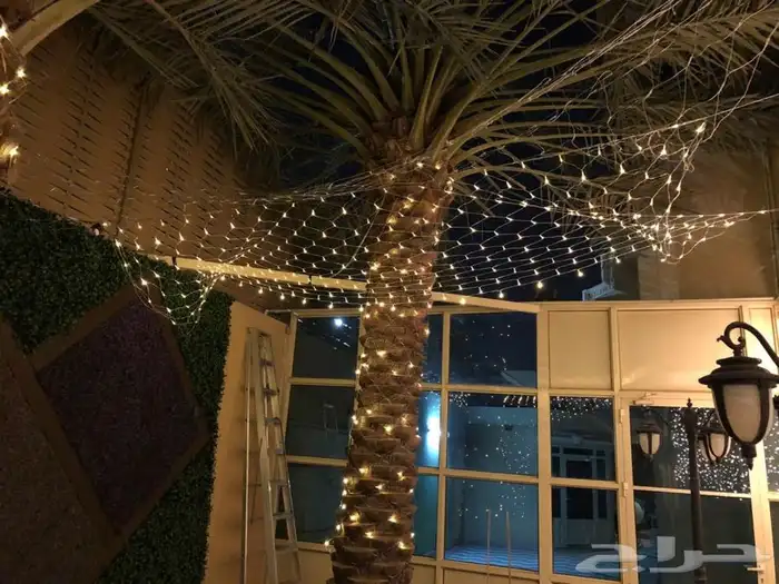ستارة مضيئة وشبكة وحبلLED 20