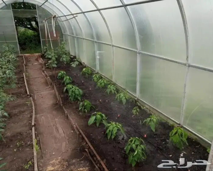 مؤقت الري والسقي - تايمر - للمزارع والمواشي 12