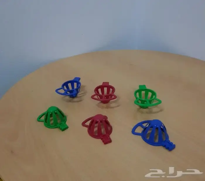 حامل بيض كناري حامل بيض 3