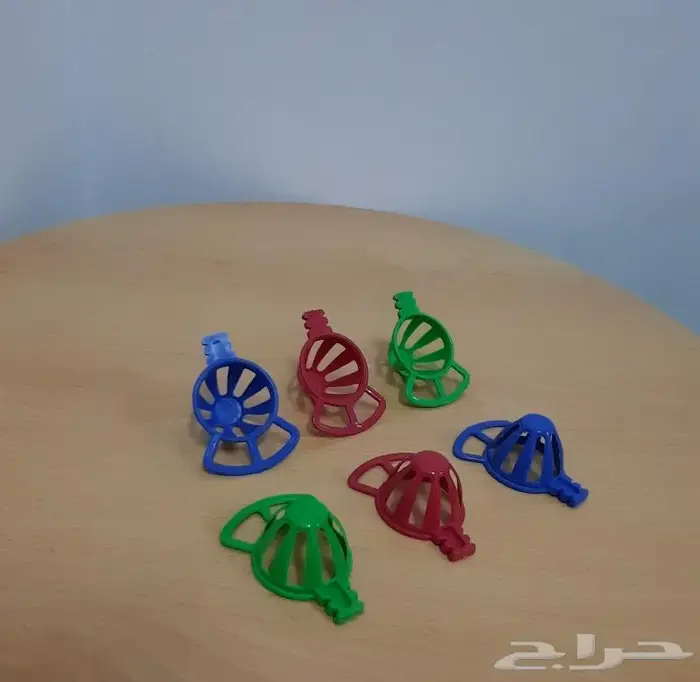 حامل بيض كناري حامل بيض 4