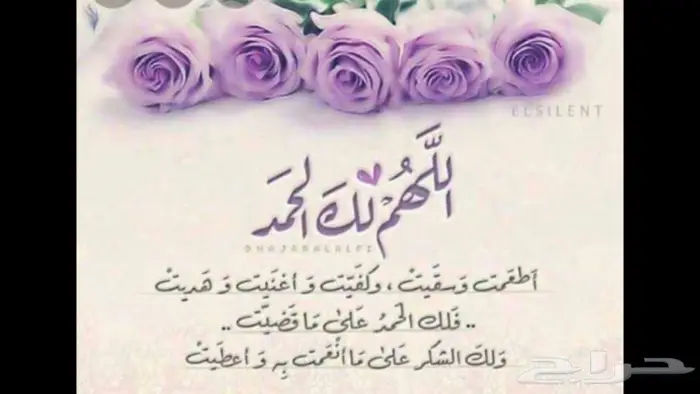 جديد خواتم فضة اصلي صب ثقيل فاخرة 32