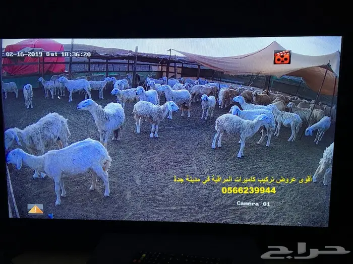 تركيب كميرات مراقبة هيك فيجن بأسعار منافسة 19