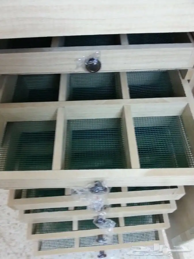 فقاسه 11